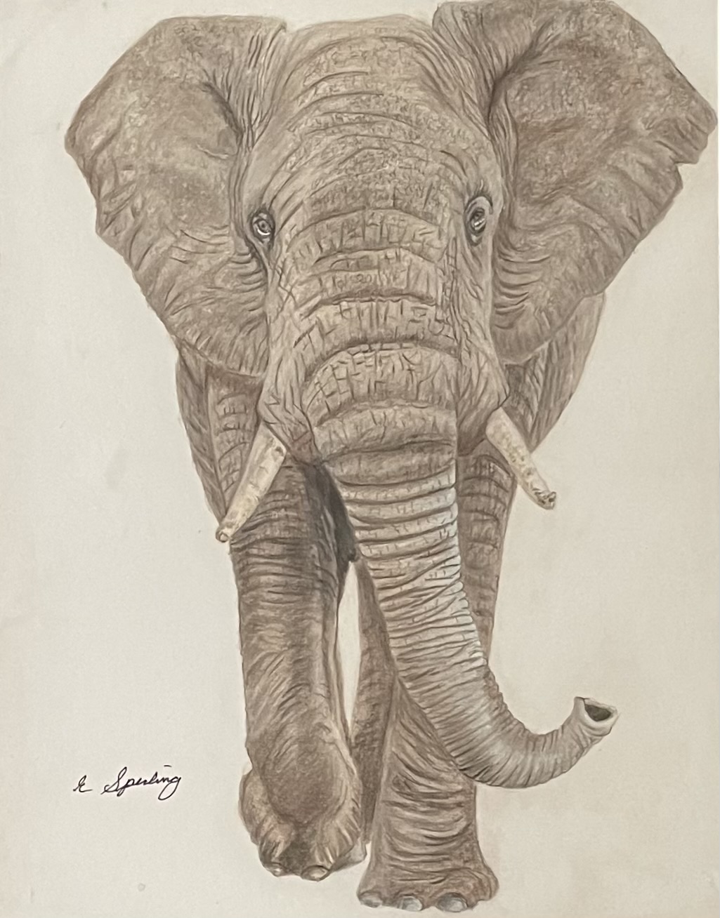 Elephant – New Jersey Senior Citizen Art Show